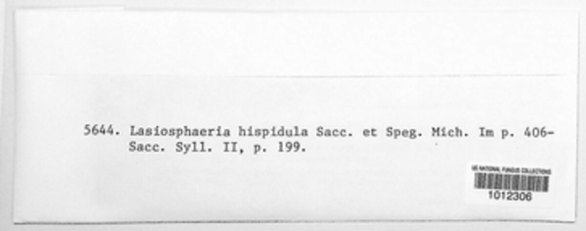 Lasiosphaeria hispidula image